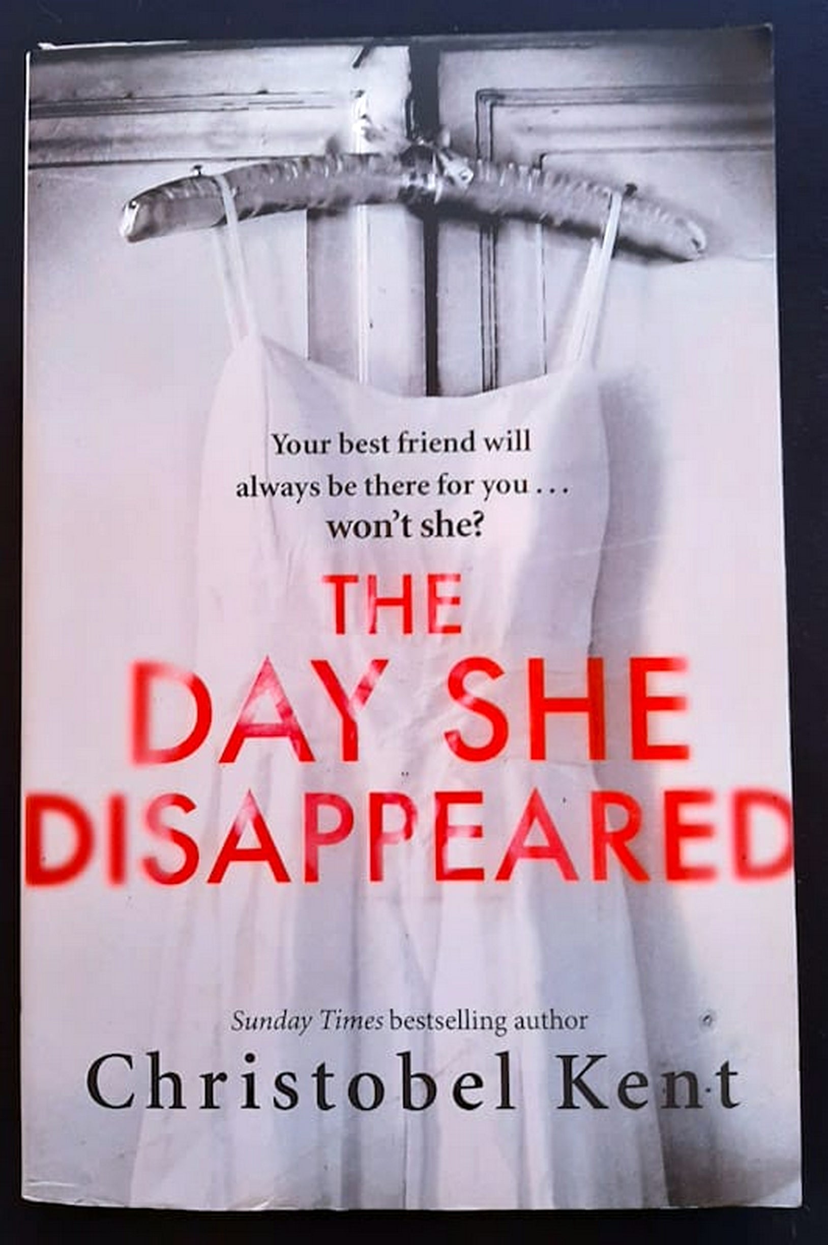 Front Cover Of Bestselling Book The Day She Disappeared (Christobel Kent
)