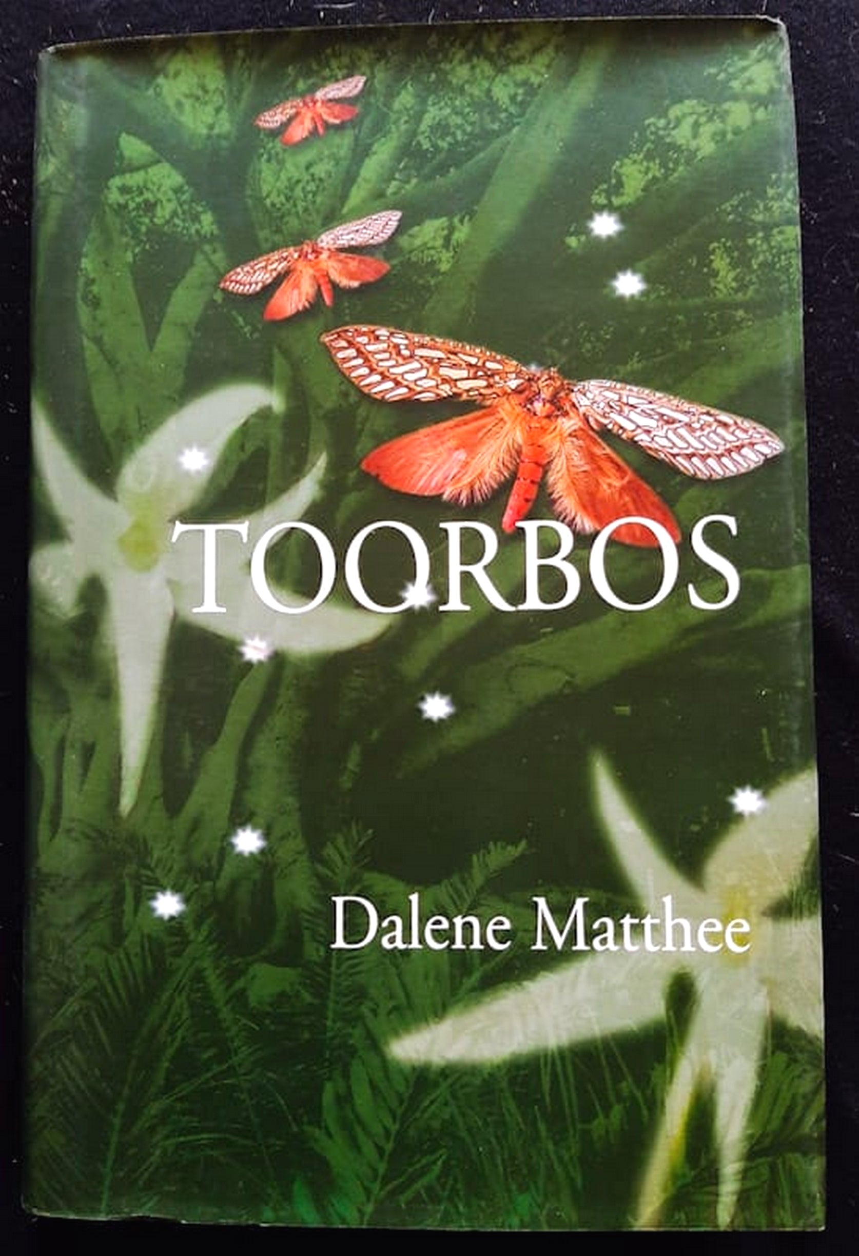 Front Cover Of Bestselling Book Toorbos (Dalene Matthee Bosboeke #4) (Dalene Matthee
)