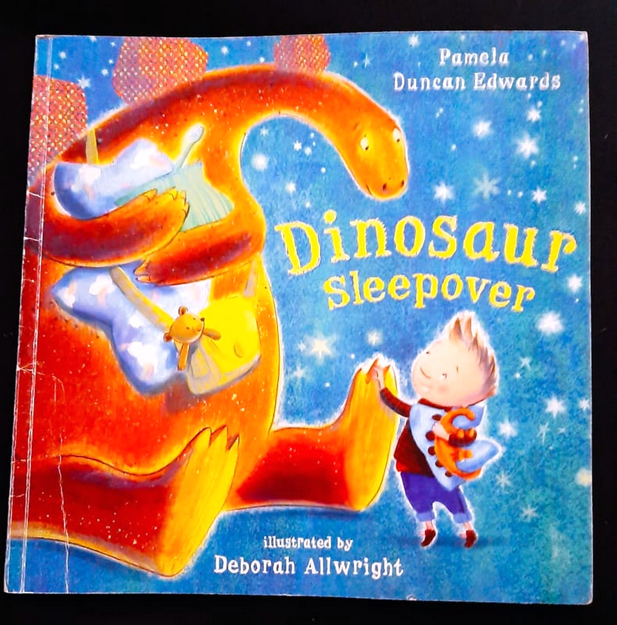 Front Cover Of Bestselling Book Dinosaur Sleepover (Pamela Duncan Edwards
)