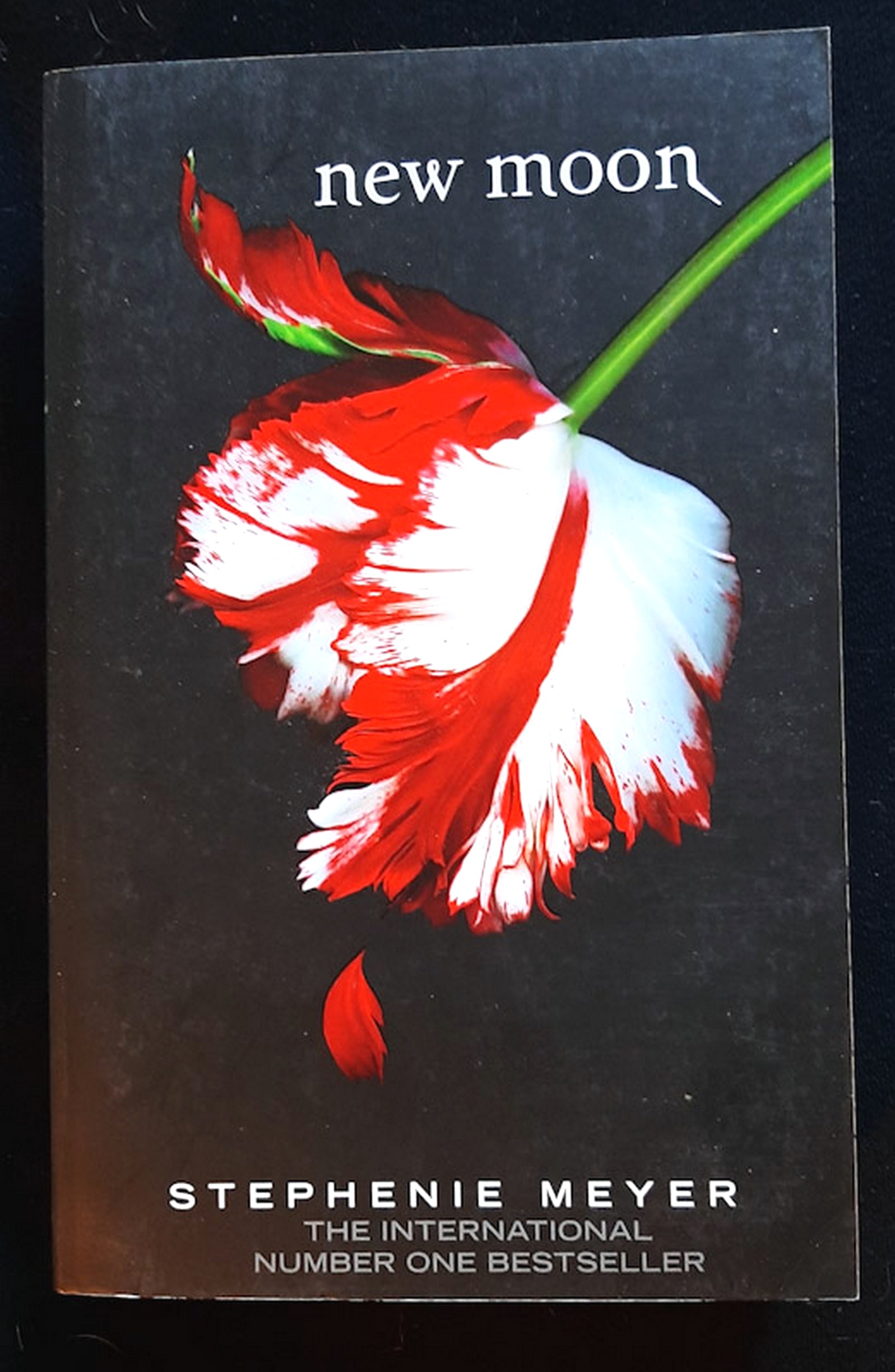 Front Cover Of Bestselling Book New Moon (The Twilight Saga #2) (Stephenie Meyer
)