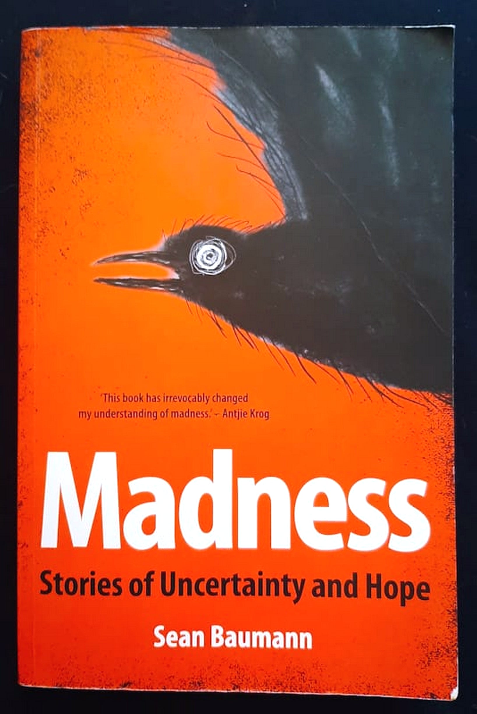 Front Cover Of Bestselling Book Madness: Stories Of Uncertainty And Hope (Sean Baumann
)