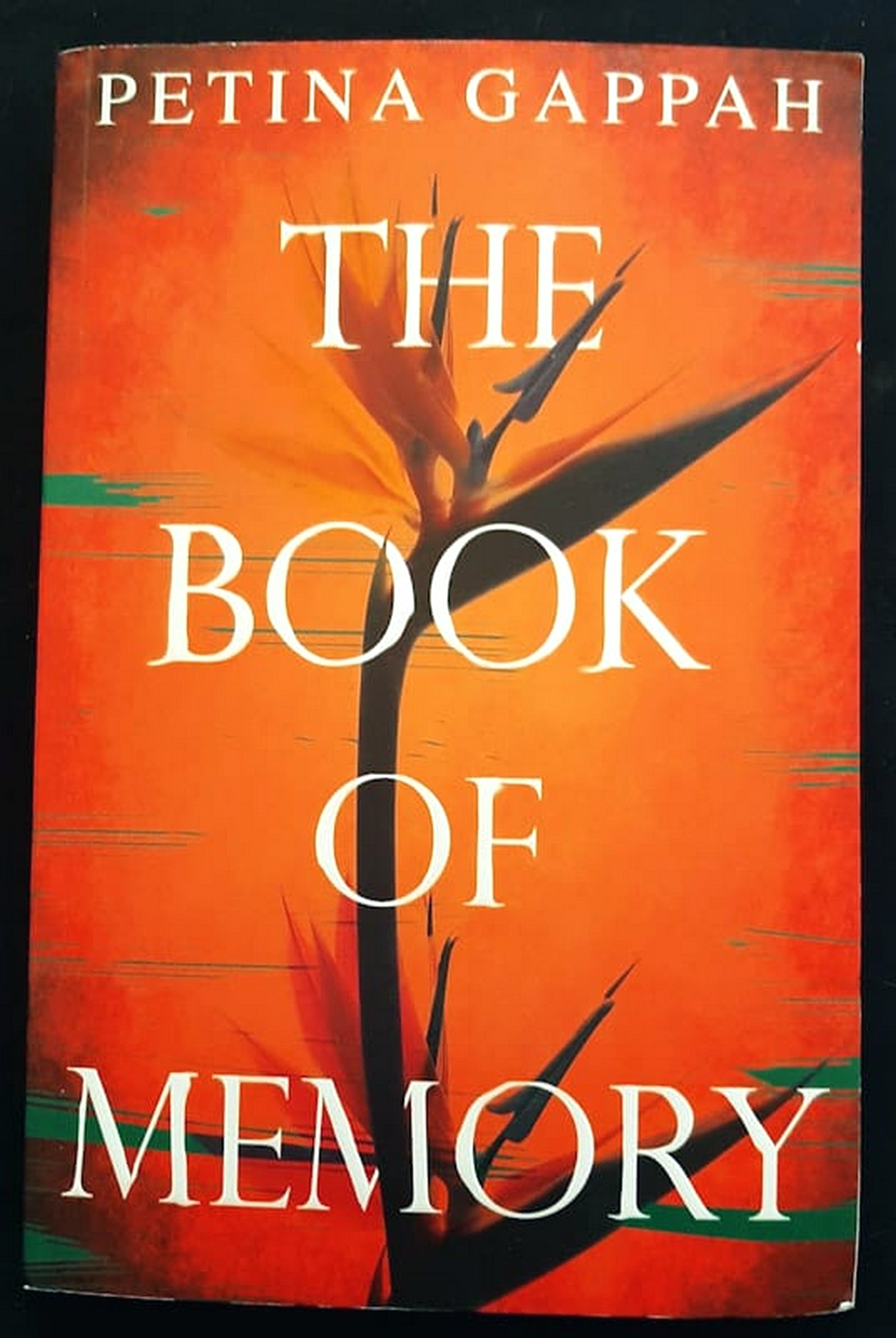 Front Cover Of Bestselling Book The Book Of Memory (Petina Gappah
)