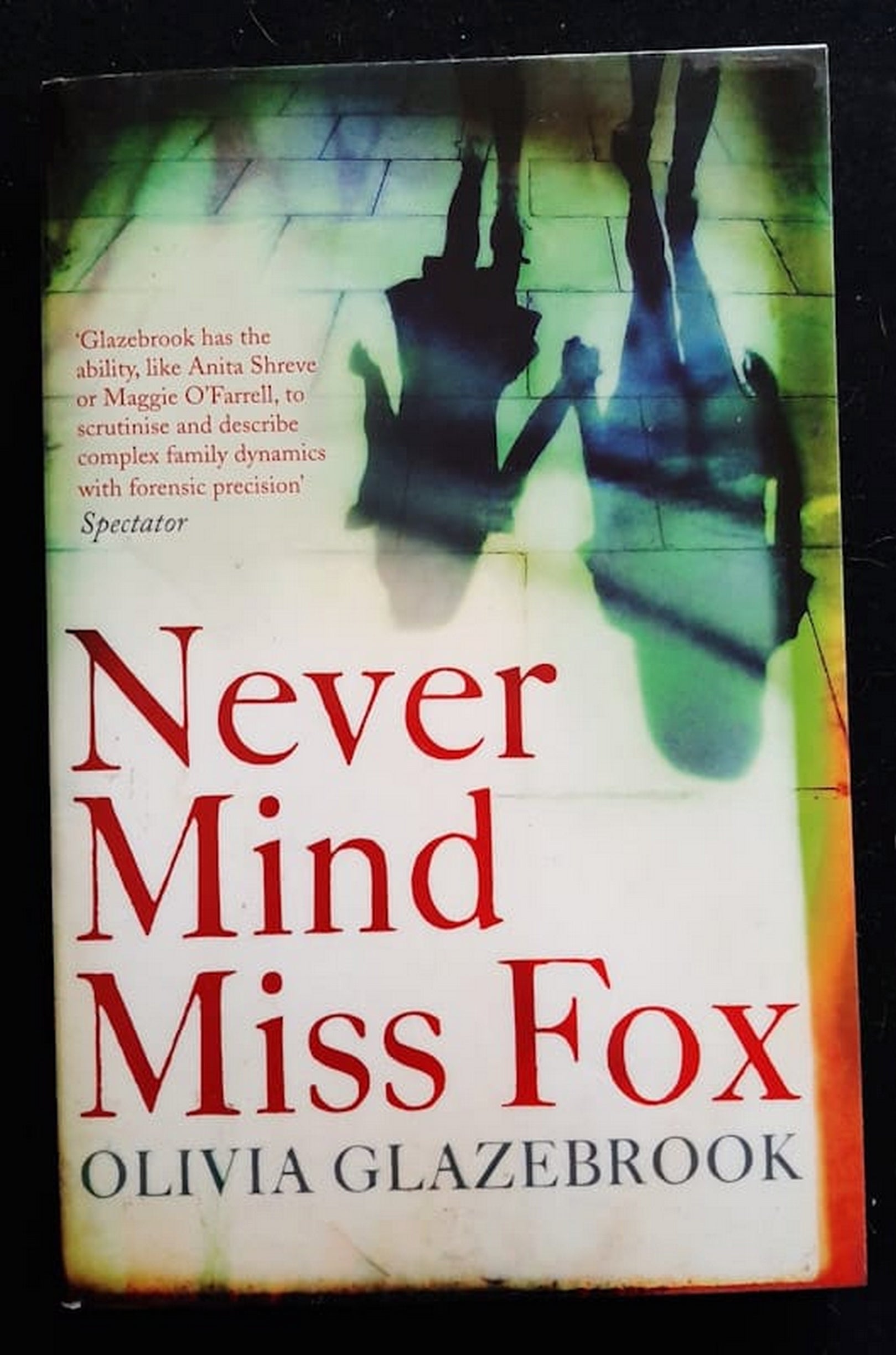 Front Cover Of Bestselling Book Never Mind Miss Fox (Olivia Glazebrook
)