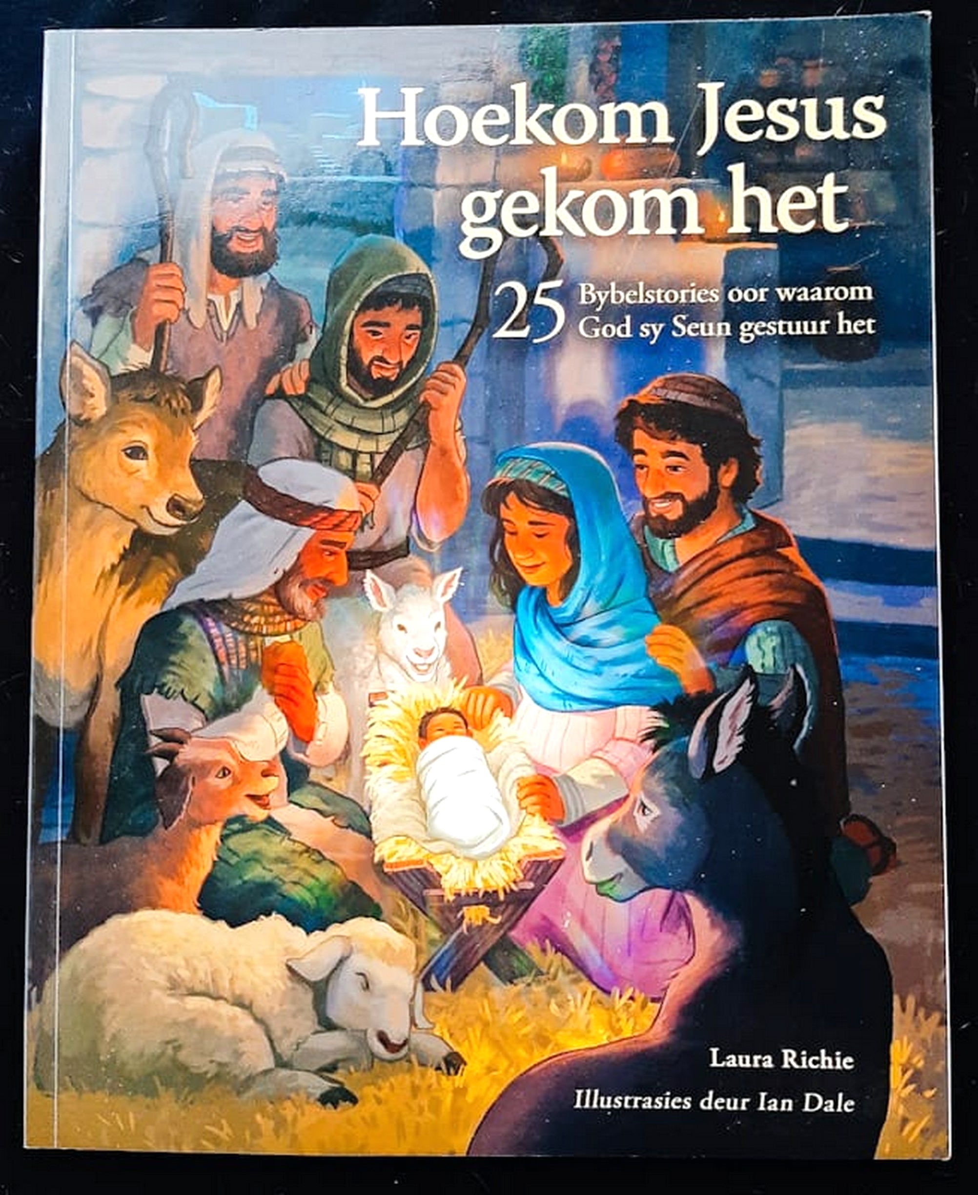 Front Cover Of Bestselling Book Hoekom Jesus Gekom Het: 25 Bybelstories Oor Waarom God Sy Seun Gestuur Het (Laura Richie
)