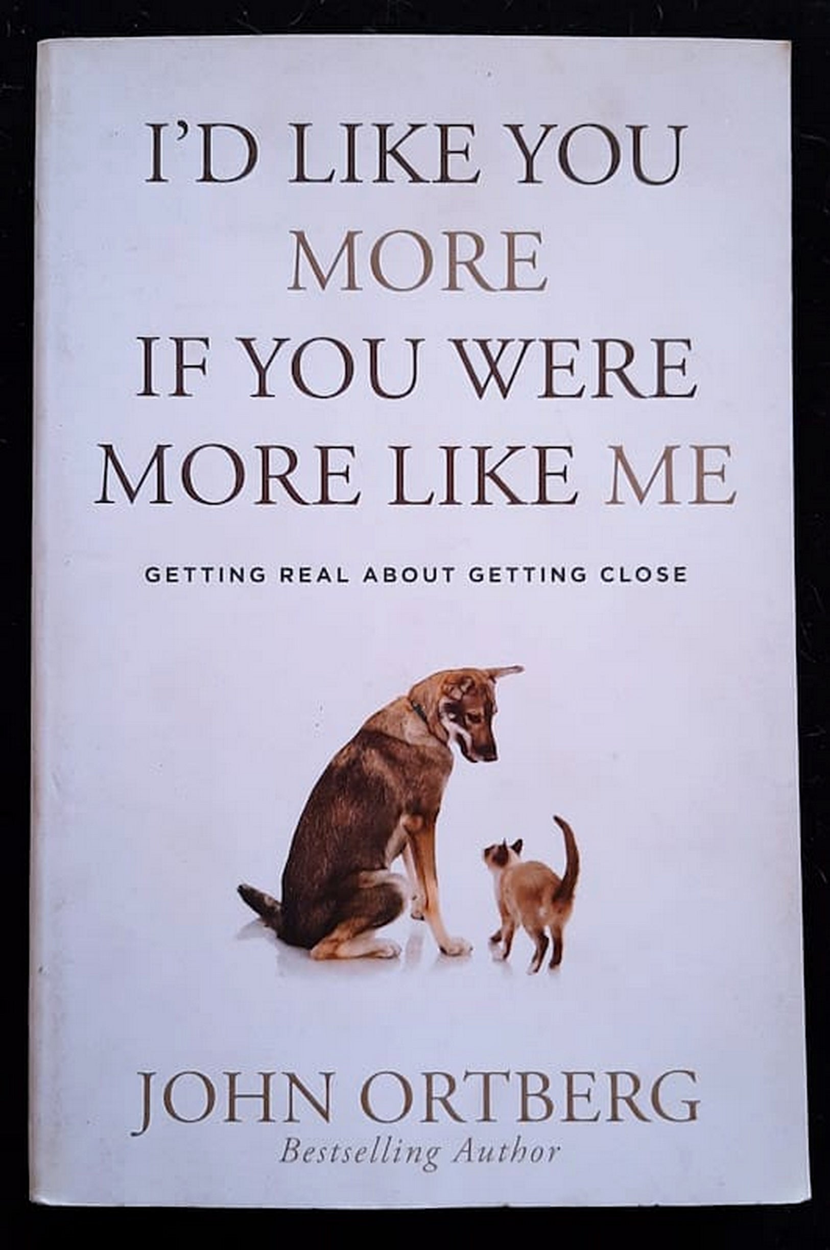Front Cover Of Bestselling Book I'D Like You More If You Were More Like Me: Getting Real About Getting Close (John Ortberg
)