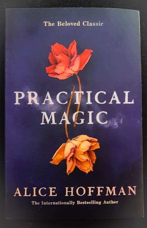 Practical Magic (Practical Magic #1) (Alice Hoffman)