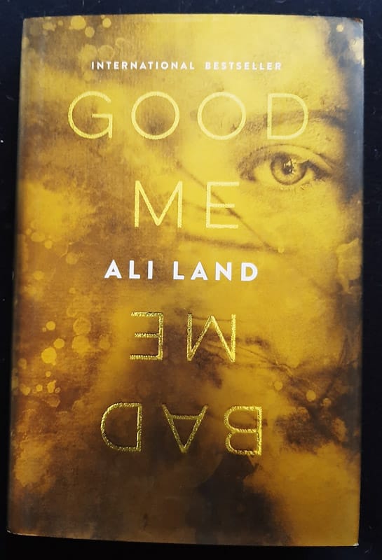 Good Me, Bad Me (Ali Land)