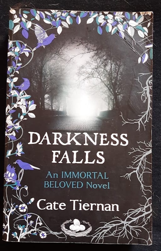 Front Cover Of Darkness Falls (Immortal Beloved #2) (Cate Tiernan)
