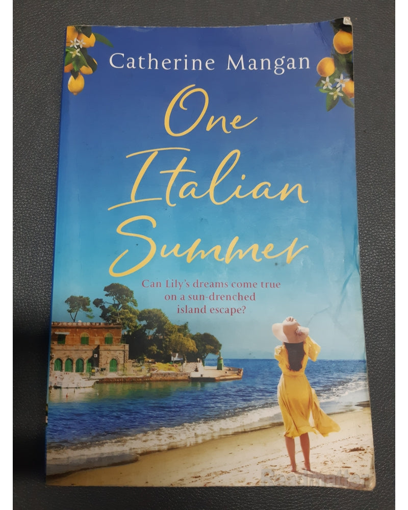 Front Cover Of The Best-Selling Book One Italian Summer Mangan, Catherine