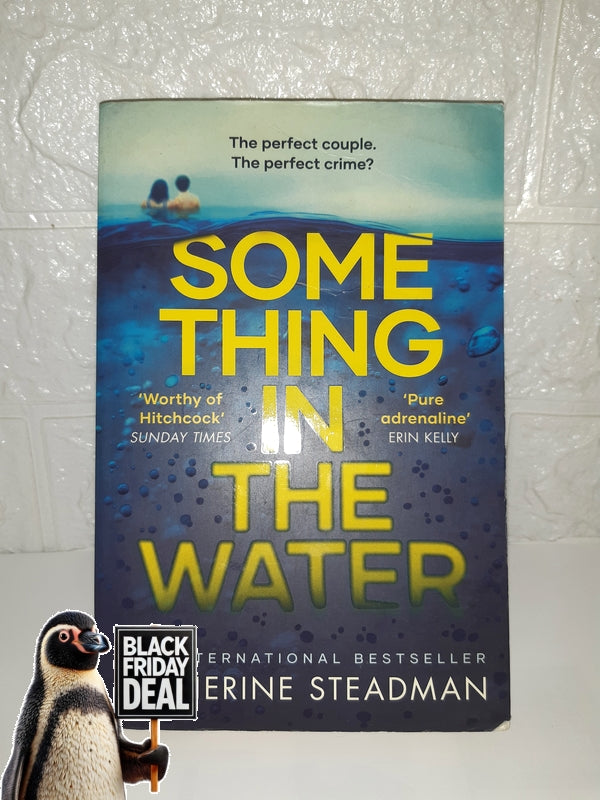 Front Cover Of The Best-Selling Book Something In The Water (Catherine Steadman)