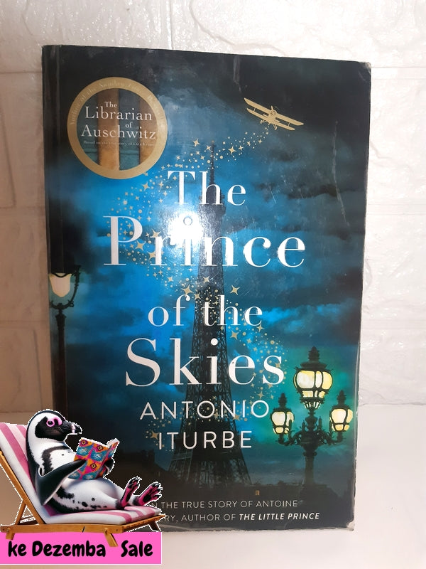 Front Cover Of The Best-Selling Book The Prince Of The Skies (Antonio Iturbe)