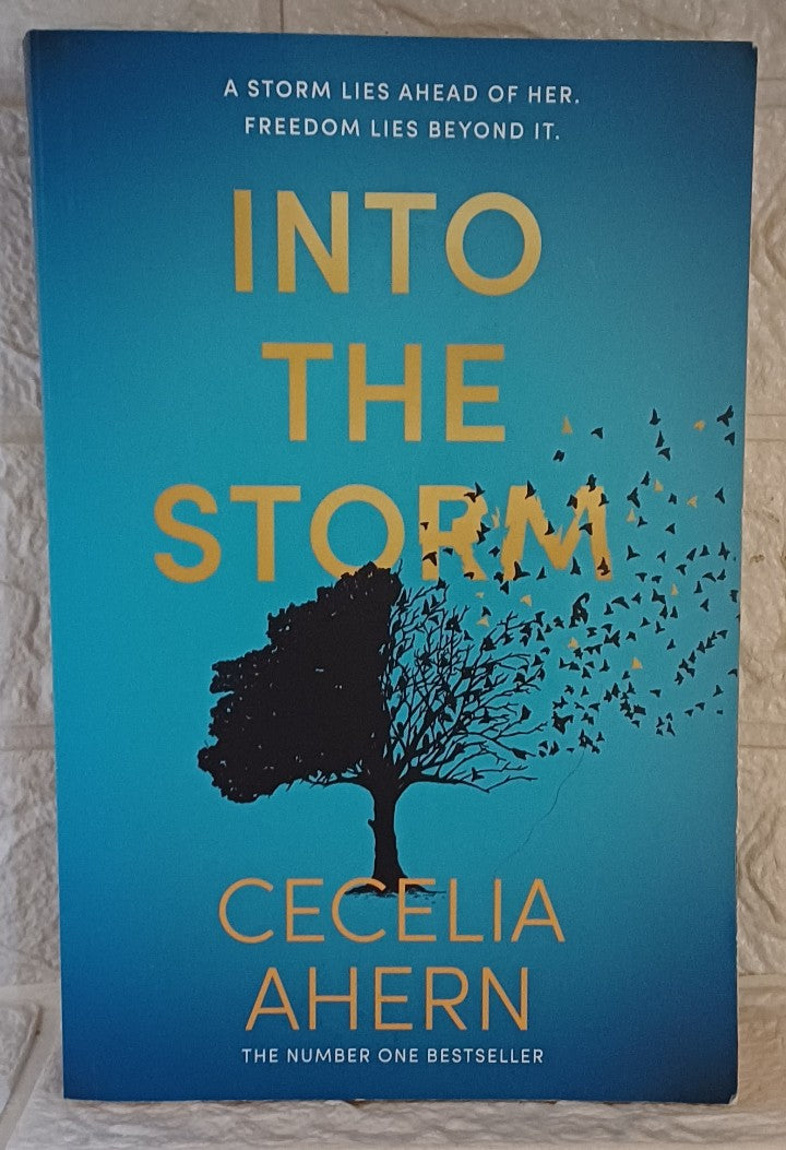 Front Cover Of Into the storm (Cecelia Ahern)