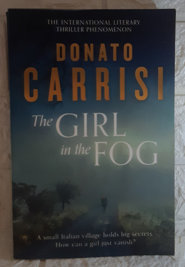 Front Cover Of The Girl in the Fog (Howard Carrisi)