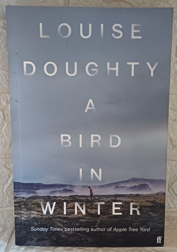 Front Cover Of A Bird in Winter (Louise Doughty)