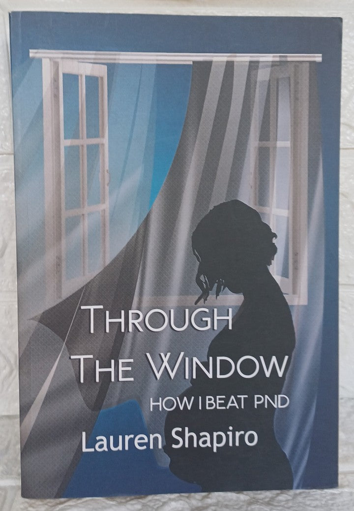 Front Cover Of Through the windows  how i beat pnd (Lauren Shapiro)