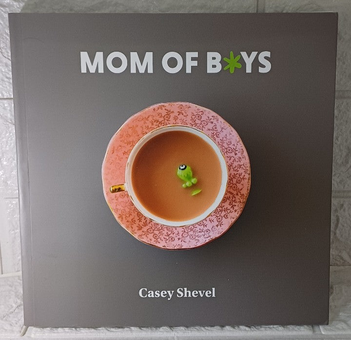 Front Cover Of Mom of Boys (Casey Shevel)