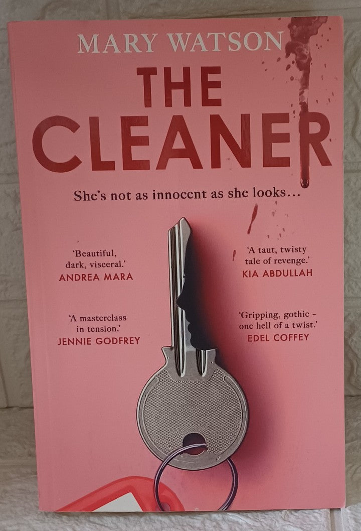 Front Cover Of The Cleaner (Mary Watson)