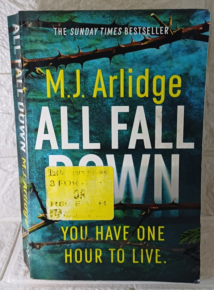 Front Cover Of All Fall Down (Di Helen Grace) (M.J. Arlidge)