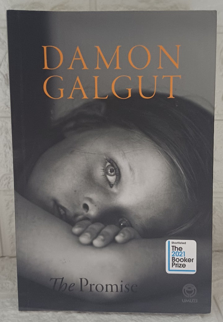 Front Cover Of The Promise (Damon Galgut)