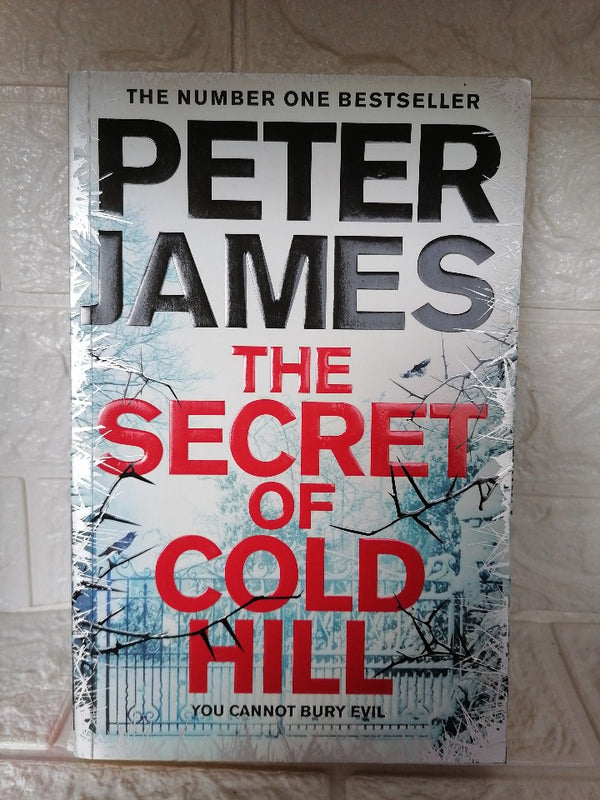 Front Cover Of The Secret of Cold Hill (House on Cold Hill, #2) (Peter James)