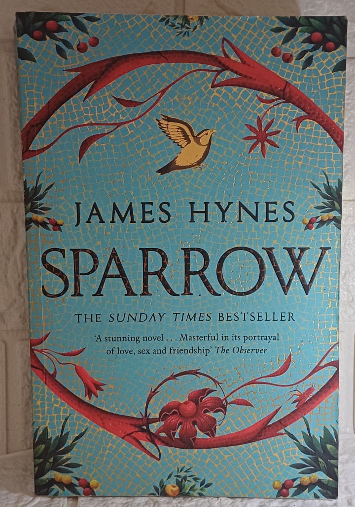 Front Cover Of Sparrow (James Hynes)