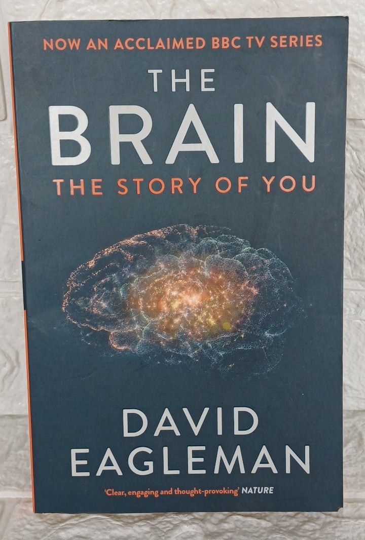 Front Cover Of The Brain (David Eagleman)