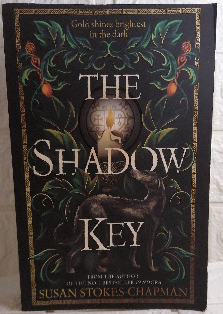 Front Cover Of The Shadow Key