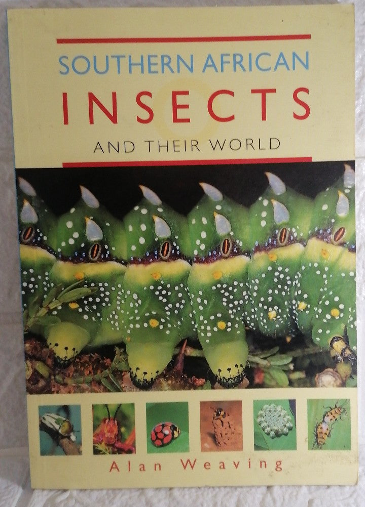 Front Cover Of Southern African Insects & Their World (Alan Weaving)