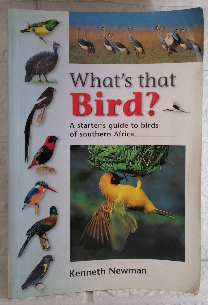 Front Cover Of Mooi En Maklike Blommerangskikkings (Cathy Roussouw)