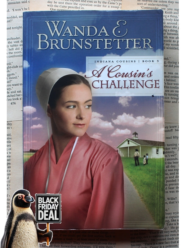 A Cousin'S Challenge Wanda E Brunstetter