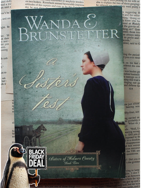 A Sister'S Test Wanda E Brunstetter