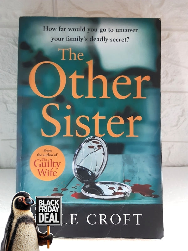 Front Cover Of The Best-Selling Book The Other Sister Elle Croft