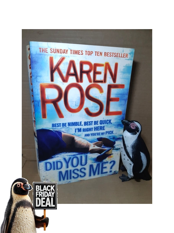 Did You Miss Me Karen Rose