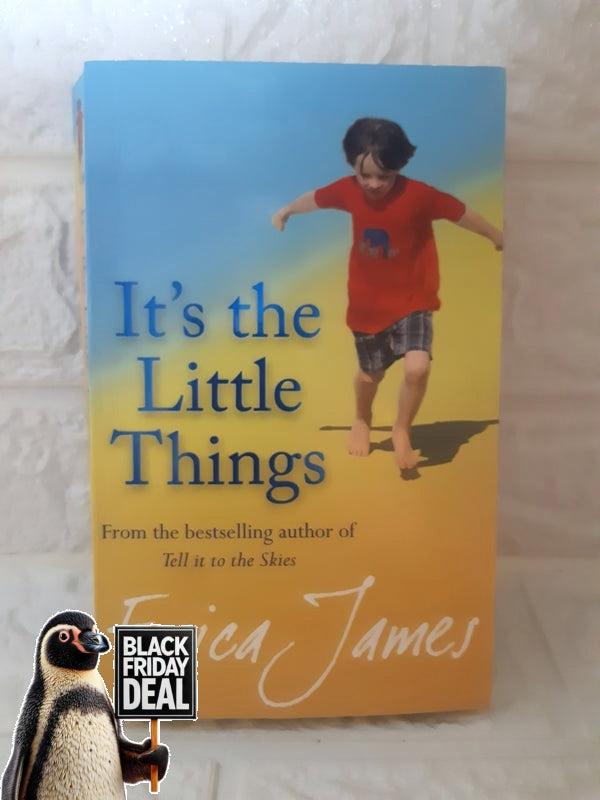 Front Cover Of The Best-Selling Book It'S The Little Things Erica James