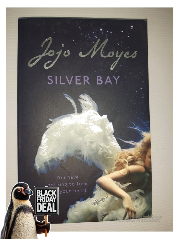 Silver Bay Jojo Moyes