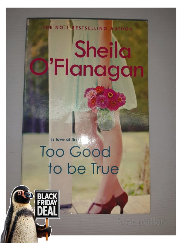 Too Good To Be True Sheila O'Flanagan