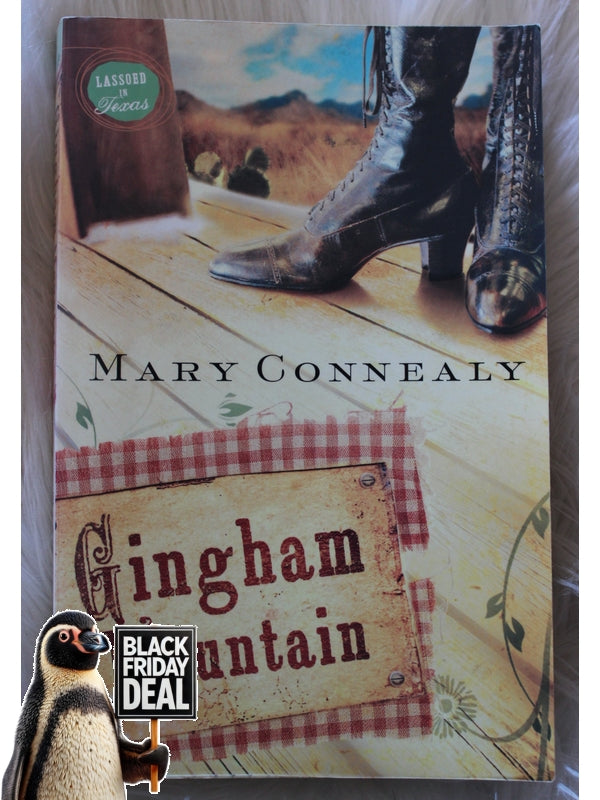 Gingham Mountain Mary Connealy