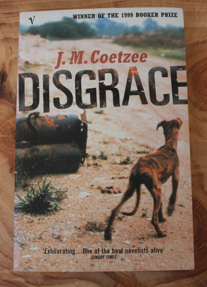 Front Cover Of Disgrace (J.M. Coetzee)