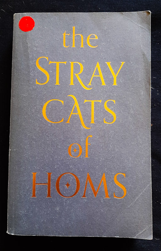 Front Cover Of The Stray Cats Of Homs (Eva Nour
)