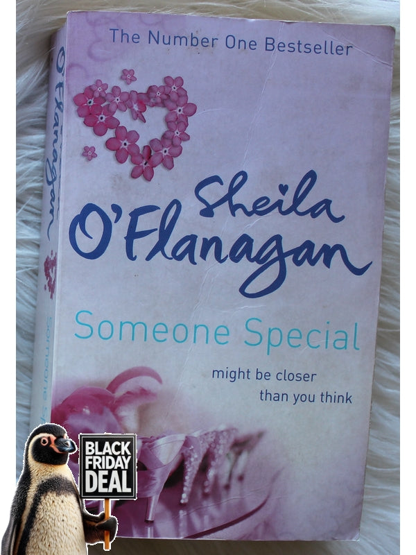 Someone Special Sheila O'Flanagan