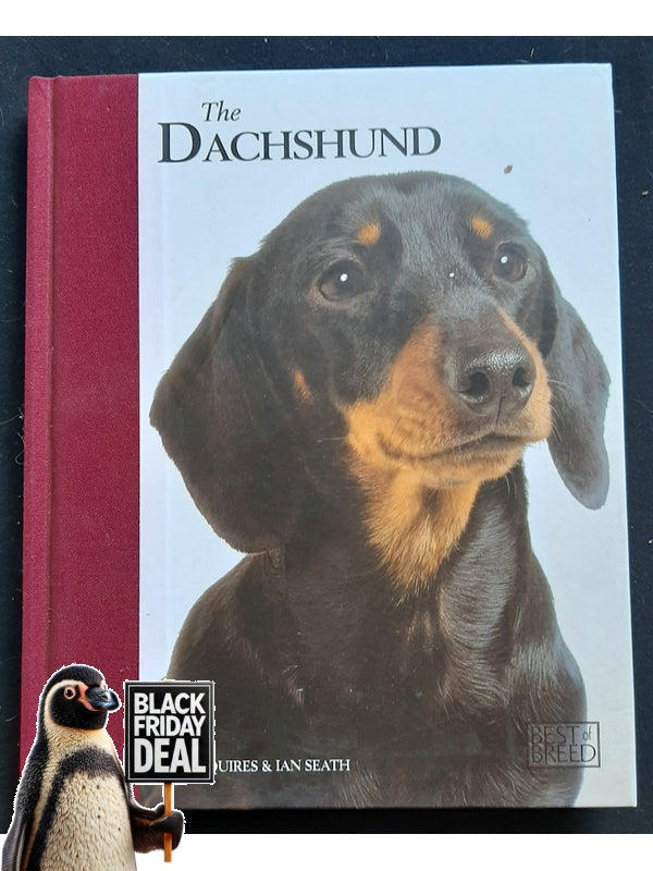 The Dachshund (Squires, Judy)