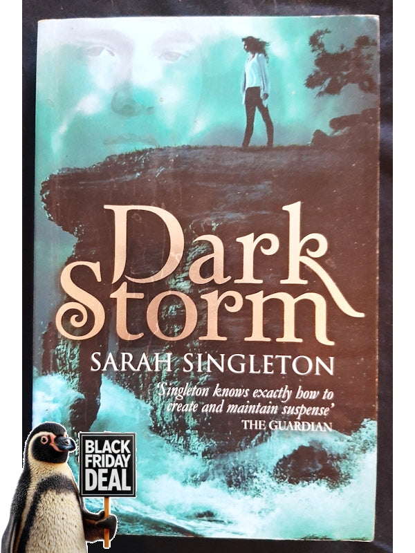 Dark Storm (Singleton, Sarah)