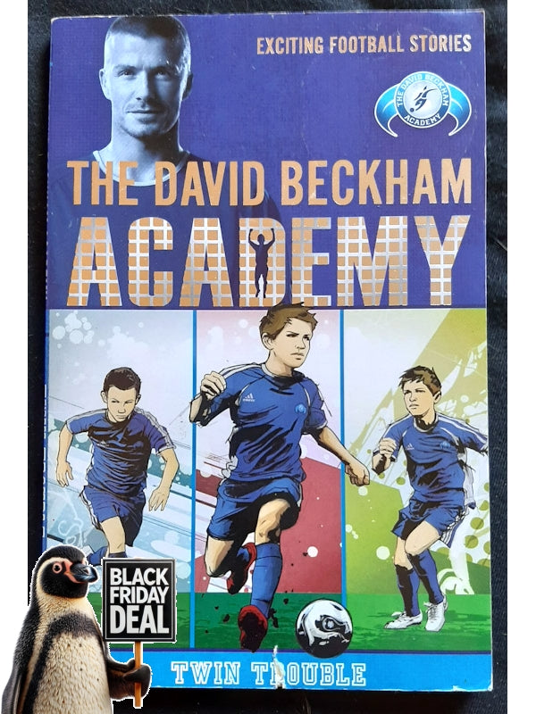 Twin Trouble (The David Beckham Academy #1) (Hutchinson, Barry)