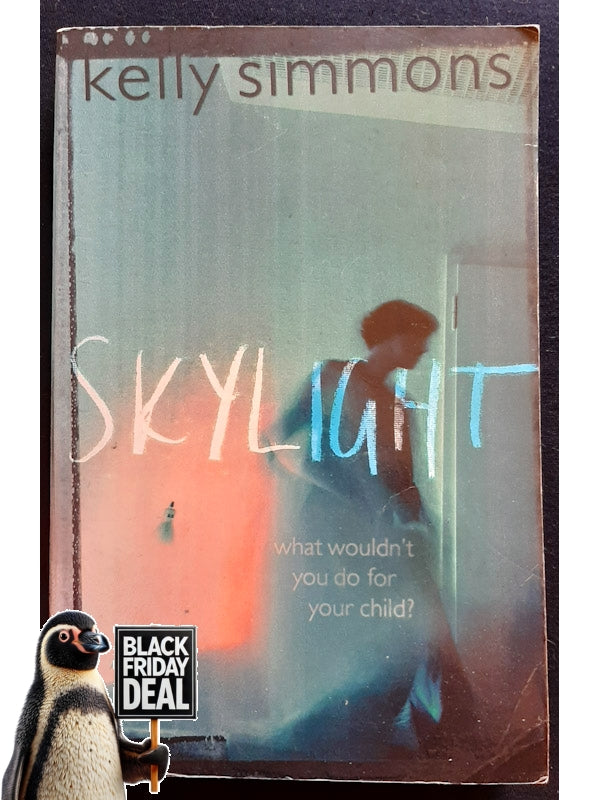 Skylight (Simmons, Kelly)