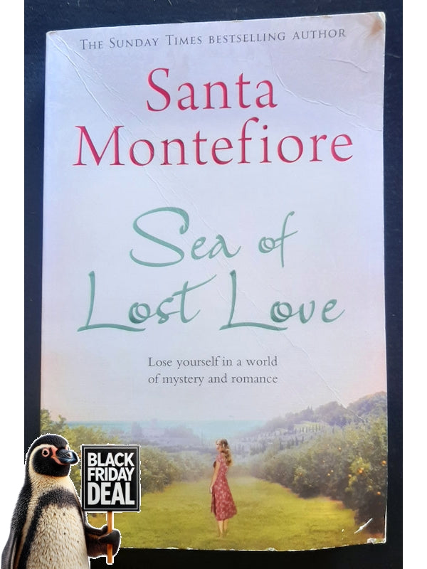 Sea Of Lost Love (Montefiore, Santa)