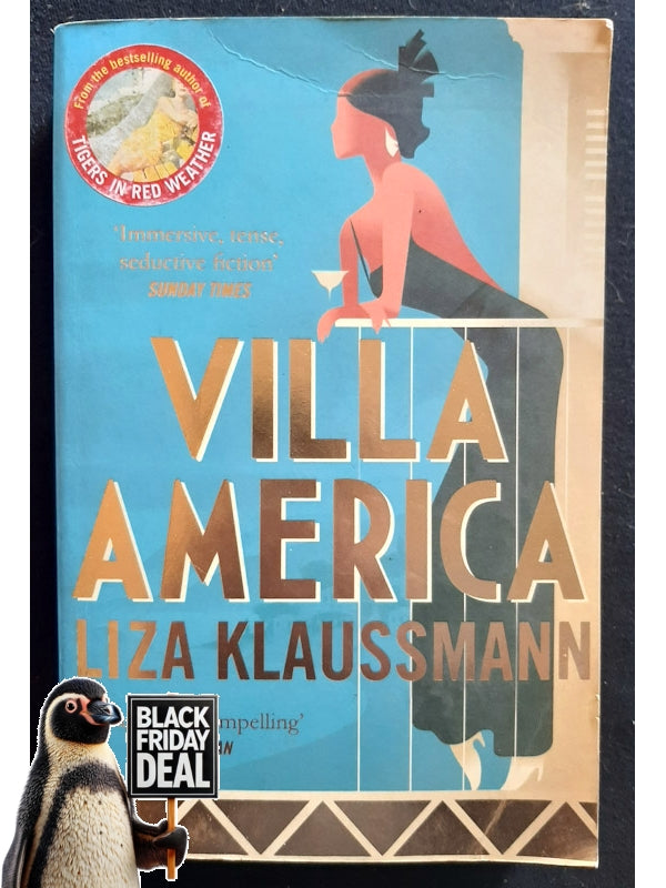 Villa America (Klaussmann, Liza)