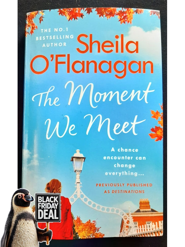 The Moment We Meet (O'Flanagan, Sheila)