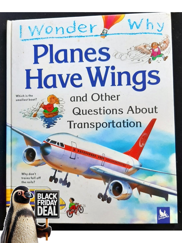 I Wonder Why Planes Have Wings (Maynhard, Christopher)