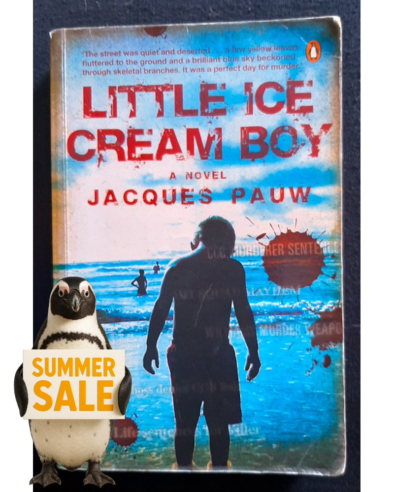 Front Cover Of Little Ice Cream Boy (Jacques Pauw)