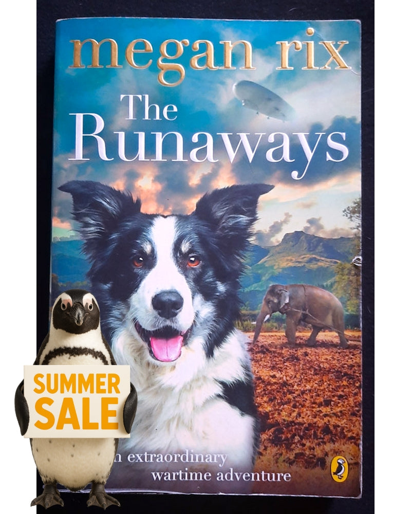 Front Cover Of The Runaways (Megan Rix)